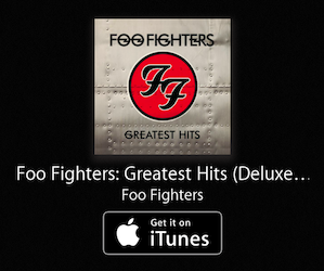 foo fighters greatest hits DL
