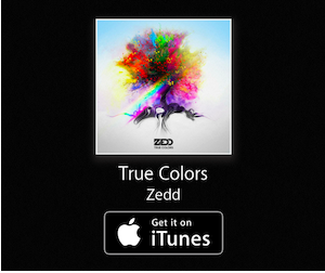 zedd - true colors DL