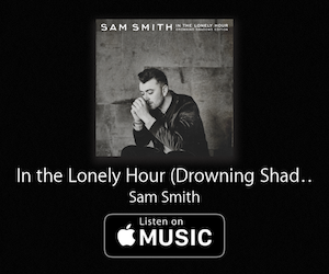 In the Lonely Hour drowning shadow edition - sam smith - dl